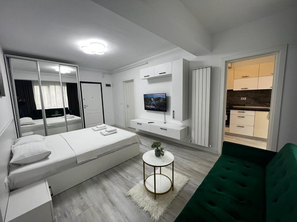 Urban Apartments And Studios - City Center Iasi Exterior foto